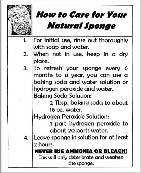 Key West Sponge Market Natural Sea Sponge Instructions 