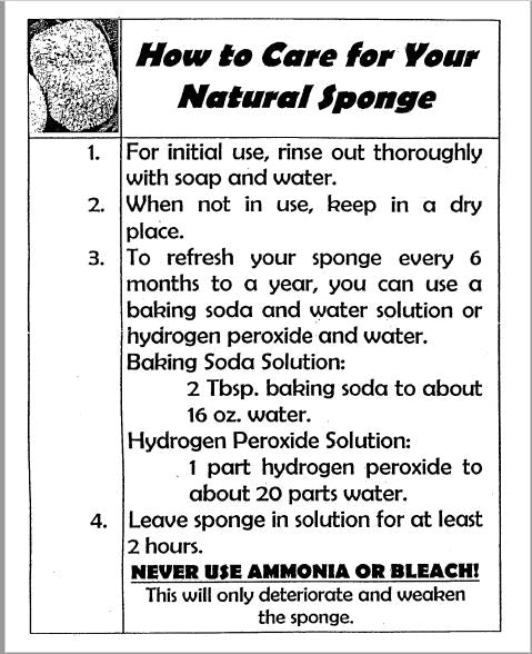 Key West Sponge Market Natural Sea Sponge Instructions