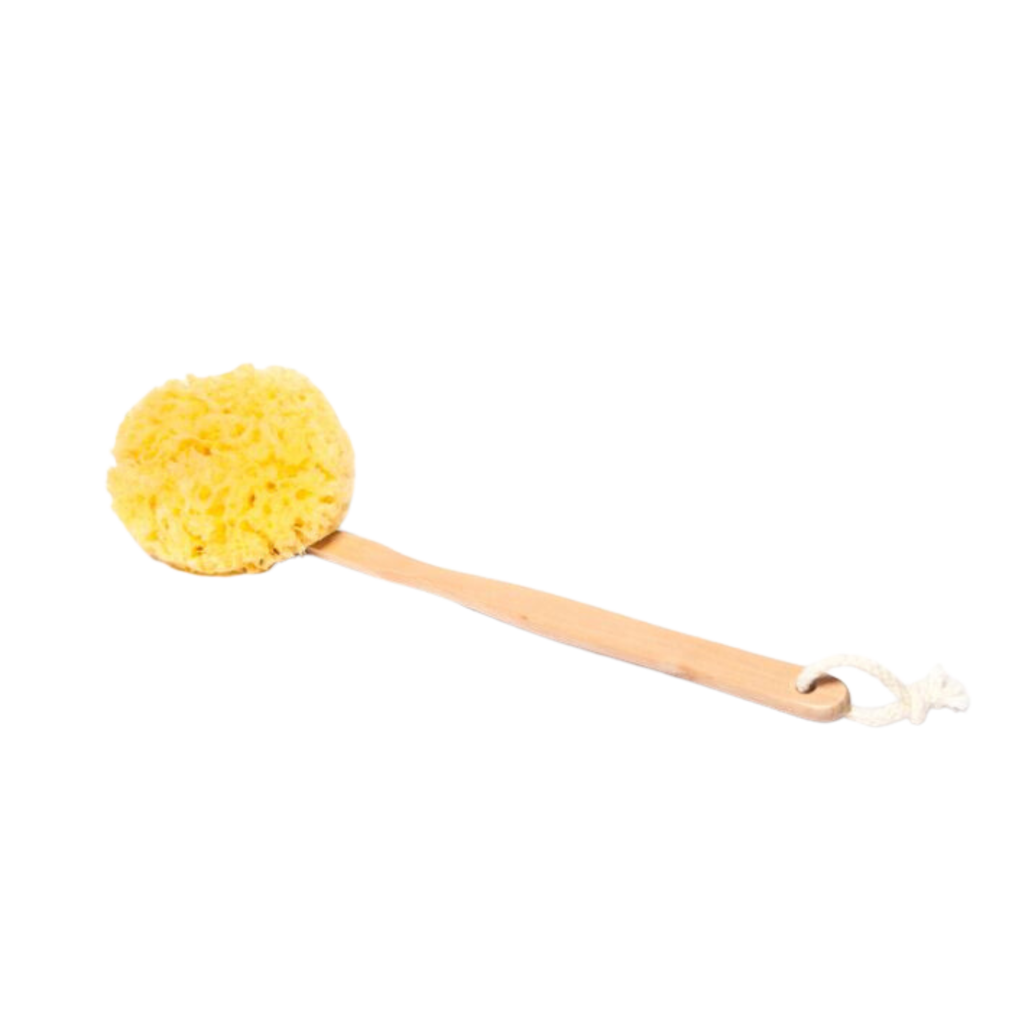 Yellow Sponge Stick – Key West Sponge Market